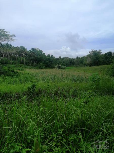 Picture of Land and Farm for sale in Catigbian