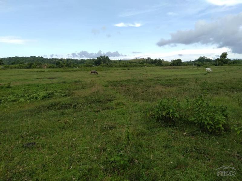Land and Farm for sale in Sagbayan
