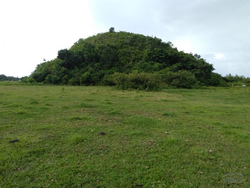 Land and Farm for sale in Sagbayan