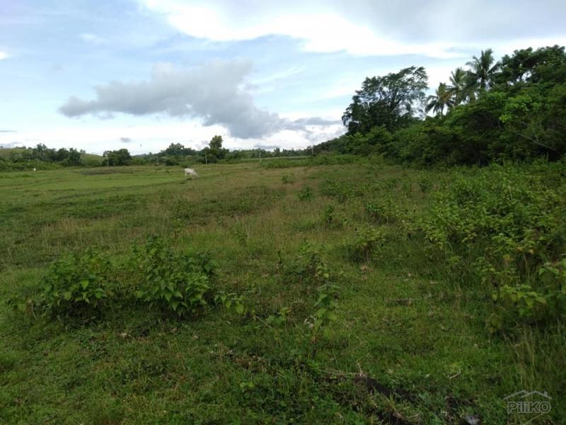 Land and Farm for sale in Sagbayan in Philippines