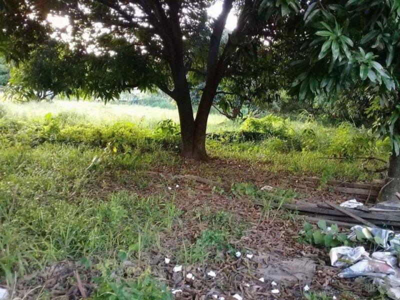 Pictures of Lot for sale in Carmen
