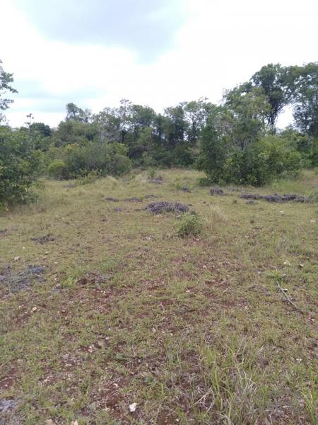 Residential Lot for sale in Panglao - image 2