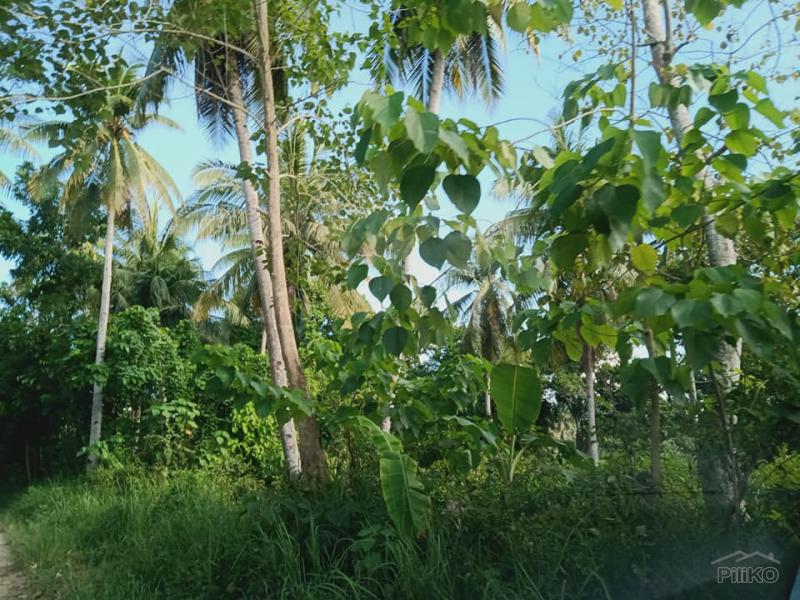Agricultural Lot for sale in Trinidad 482677 Photo 4