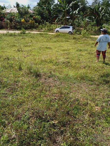 Land and Farm for sale in Dagohoy - image 10