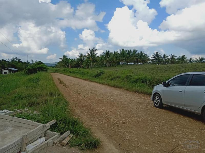 Land and Farm for sale in Dagohoy in Philippines