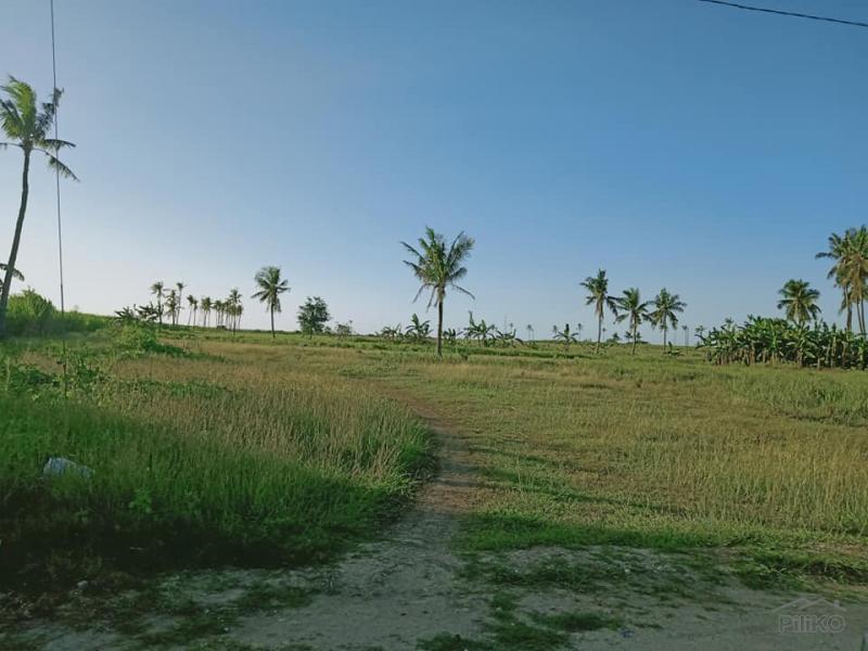 Picture of Residential Lot for sale in Bogo