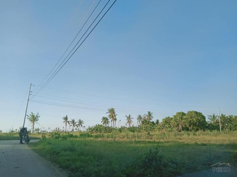 Residential Lot for sale in Bogo - image 2