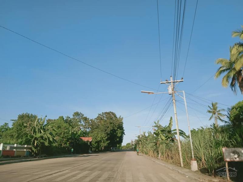 Residential Lot for sale in Bogo - image 3