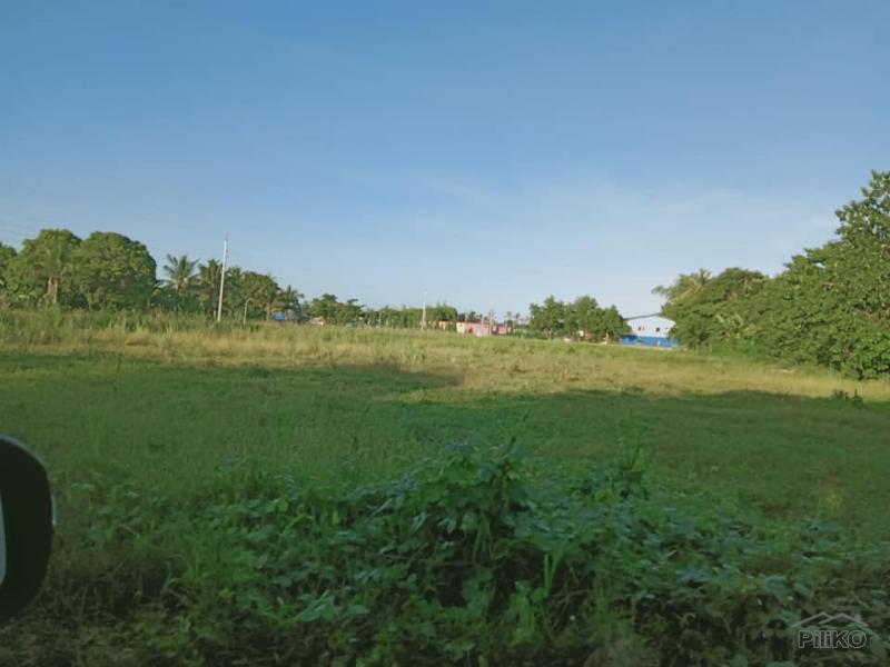 Residential Lot for sale in Bogo in Philippines