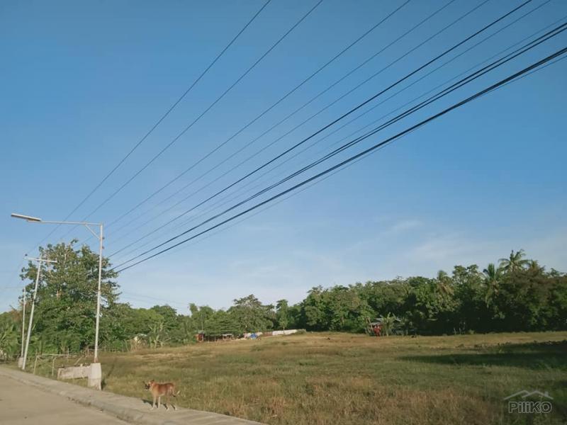 Residential Lot for sale in Bogo - image 5