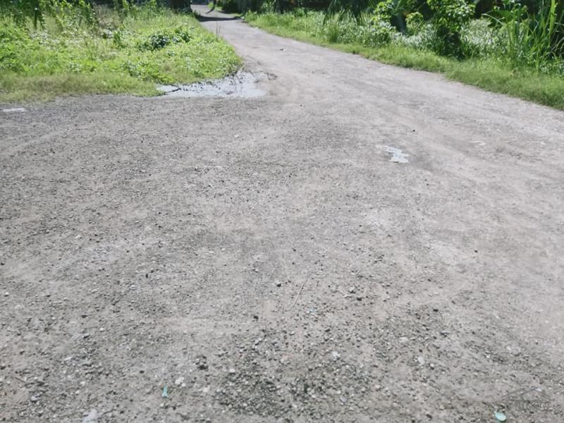 Pictures of Residential Lot for sale in Danao