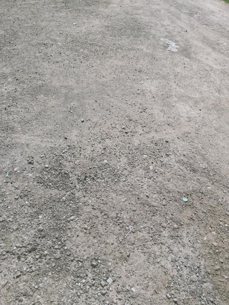 Residential Lot for sale in Danao - image 3