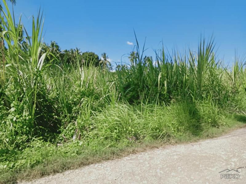 Residential Lot for sale in Danao in Philippines