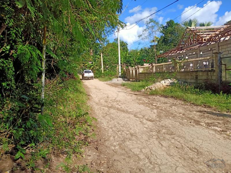 Residential Lot for sale in Alburquerque - image 2
