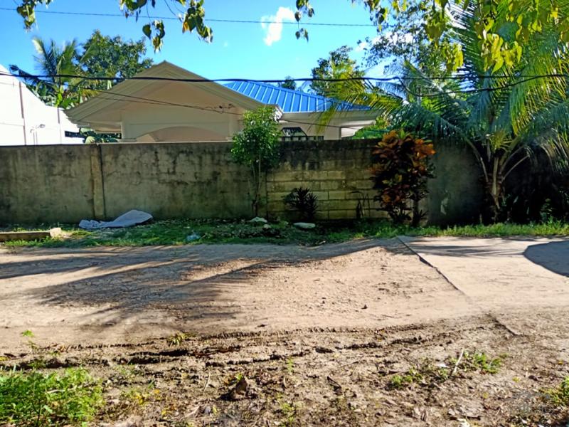 Residential Lot for sale in Alburquerque - image 4
