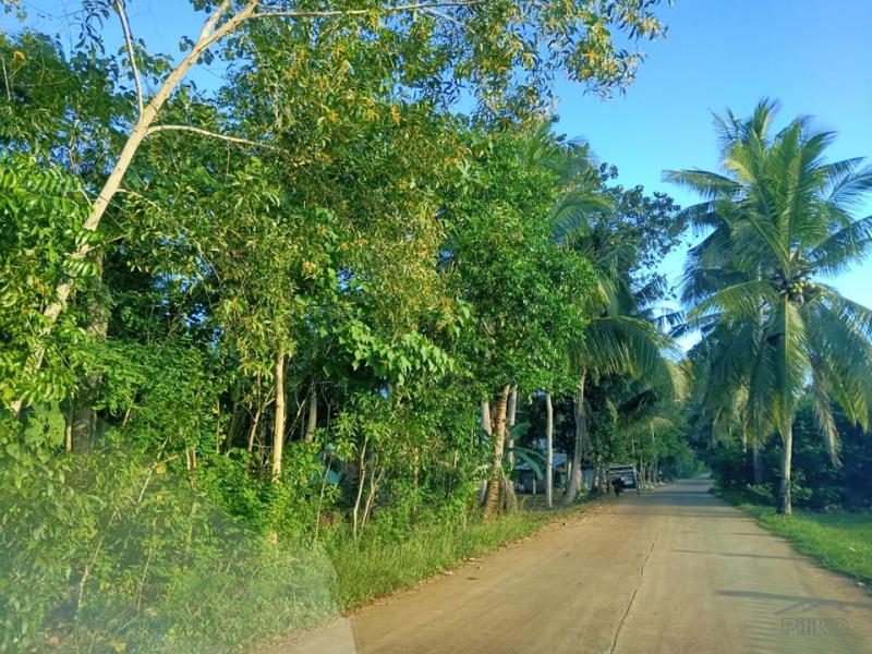 Pictures of Residential Lot for sale in Dauis