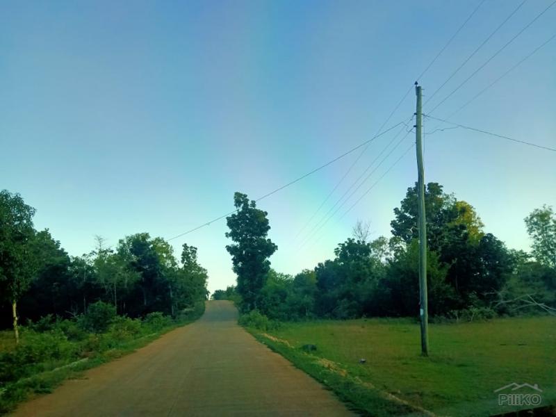 Residential Lot for sale in Dauis - image 4