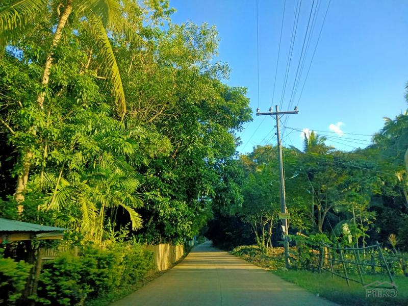 Picture of Residential Lot for sale in Dauis in Bohol