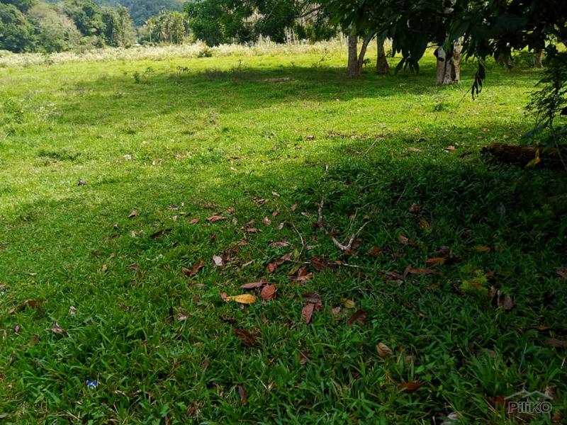 Land and Farm for sale in Bilar in Philippines