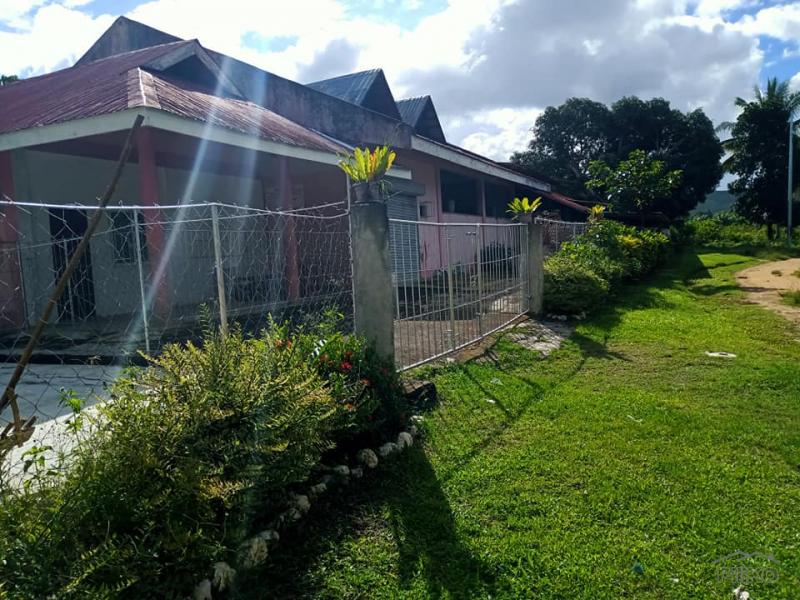 Pictures of House and Lot for sale in Trinidad