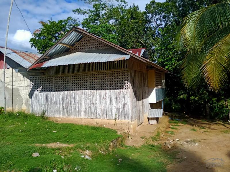 House and Lot for sale in Trinidad in Bohol