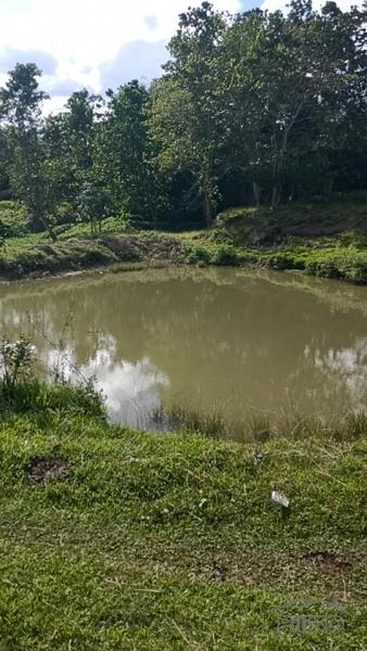 Picture of House and Lot for sale in Trinidad in Bohol