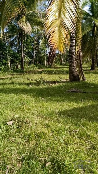 Picture of House and Lot for sale in Trinidad in Philippines