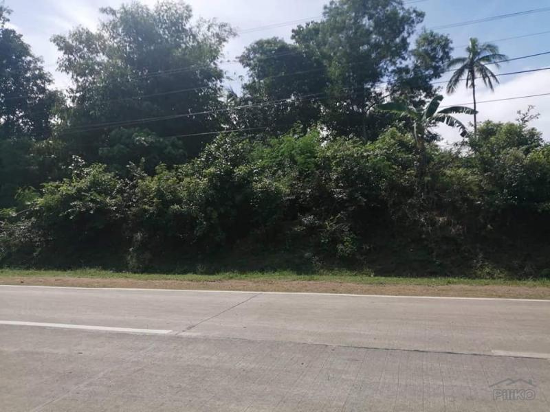 Picture of Commercial Lot for sale in Anda