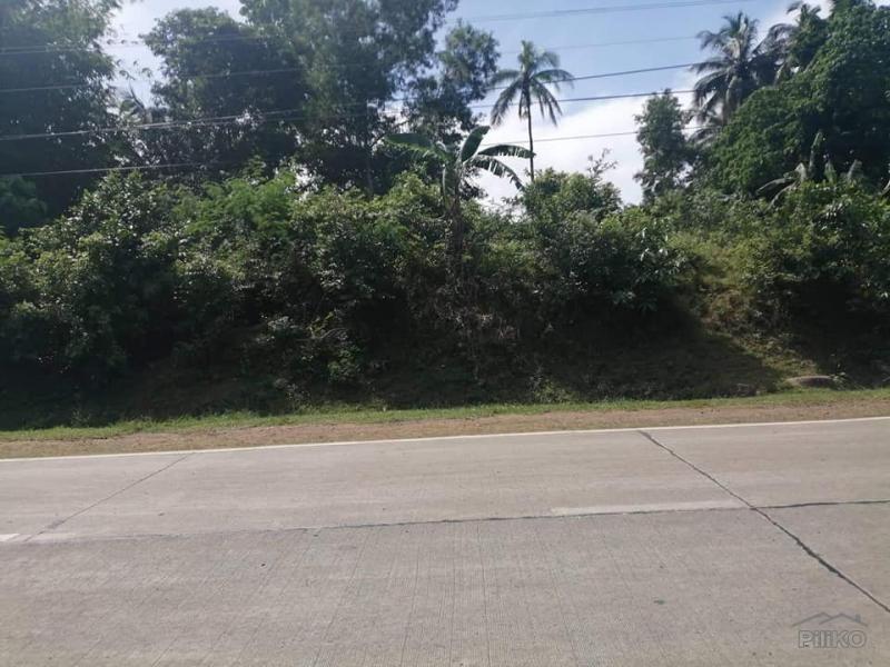 Commercial Lot for sale in Anda