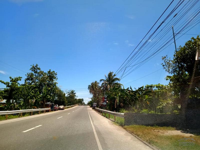 Agricultural Lot for sale in Danao - image 4