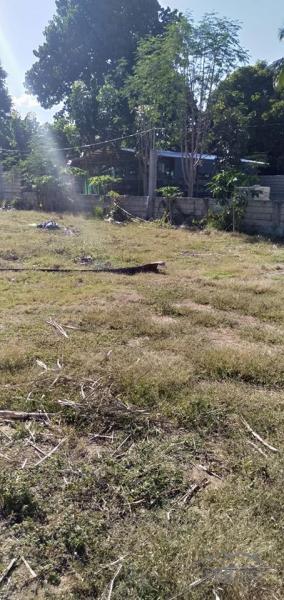 Residential Lot for sale in Danao