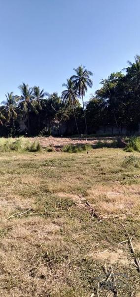 Residential Lot for sale in Danao - image 3