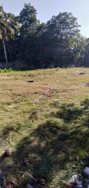 Residential Lot for sale in Danao - image 4