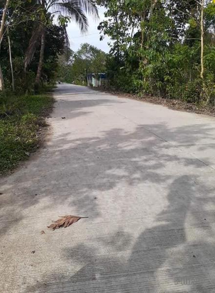 Pictures of Land and Farm for sale in Trinidad