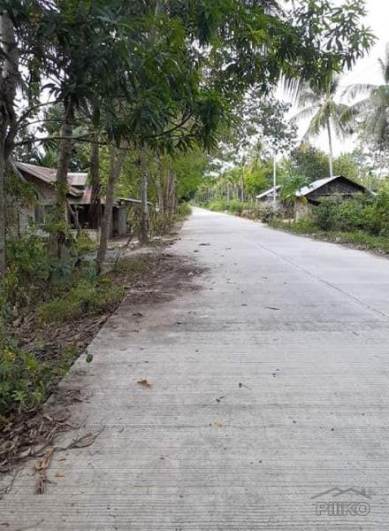 Picture of Land and Farm for sale in Trinidad in Bohol