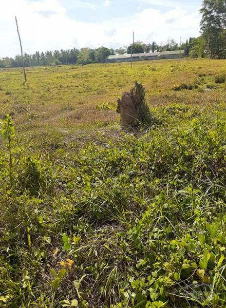 Pictures of Agricultural Lot for sale in Trinidad