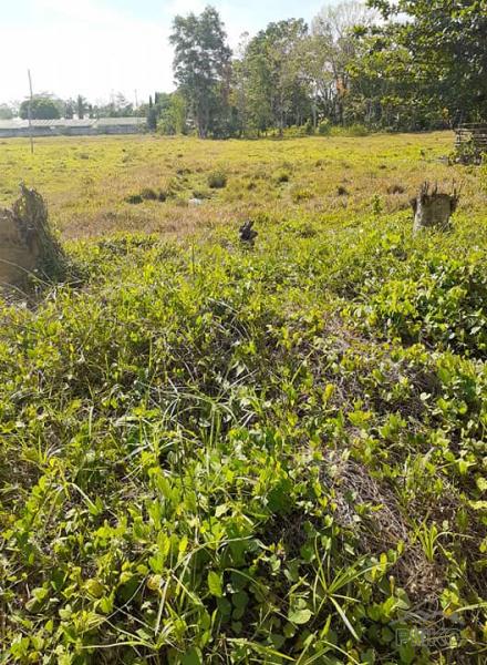 Agricultural Lot for sale in Trinidad