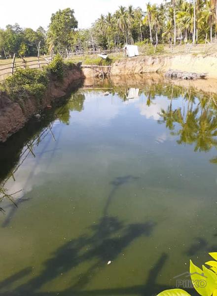 Land and Farm for sale in Trinidad in Bohol