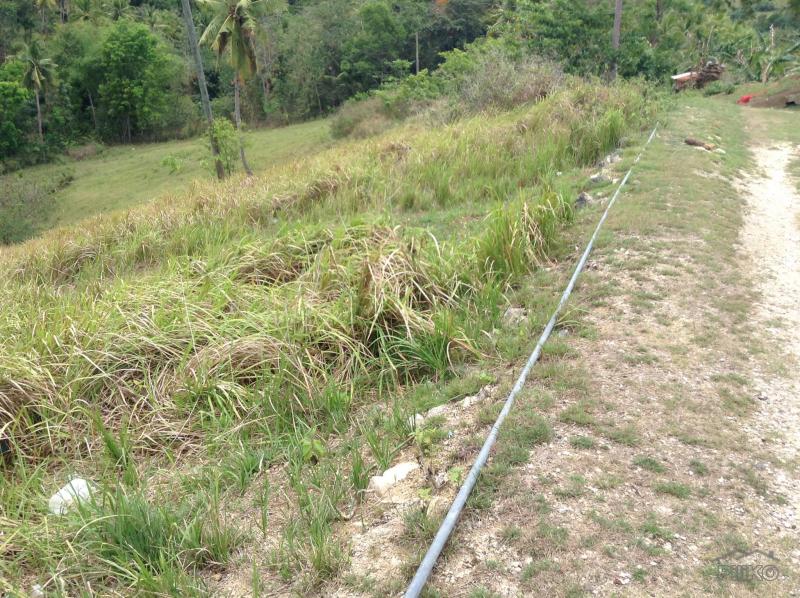 Land and Farm for sale in Tabogon - image 2
