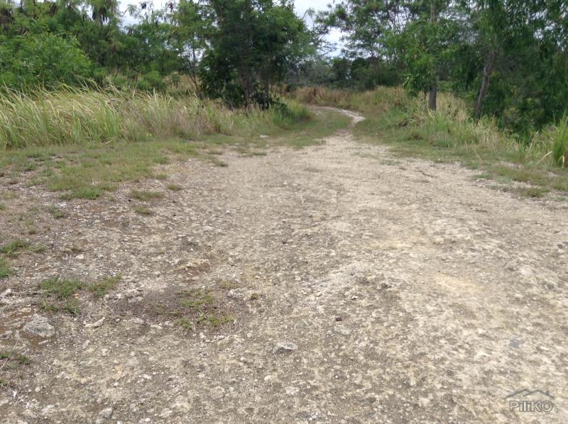 Land and Farm for sale in Tabogon - image 4