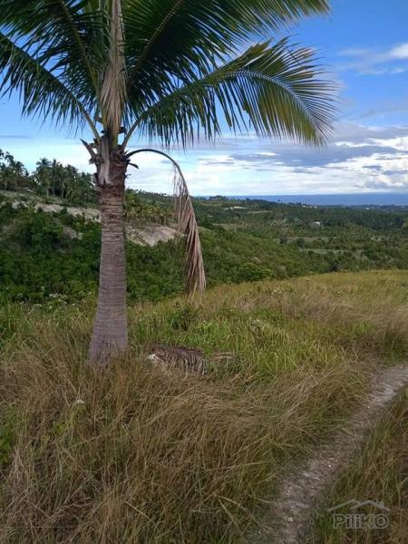 Land and Farm for sale in Argao