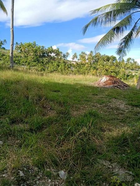 Picture of Land and Farm for sale in Argao in Cebu