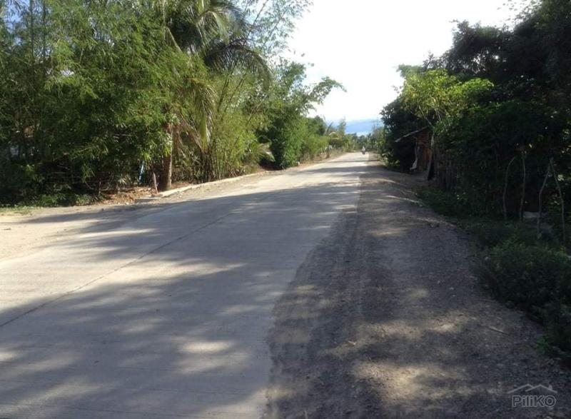 Picture of Residential Lot for sale in Ubay