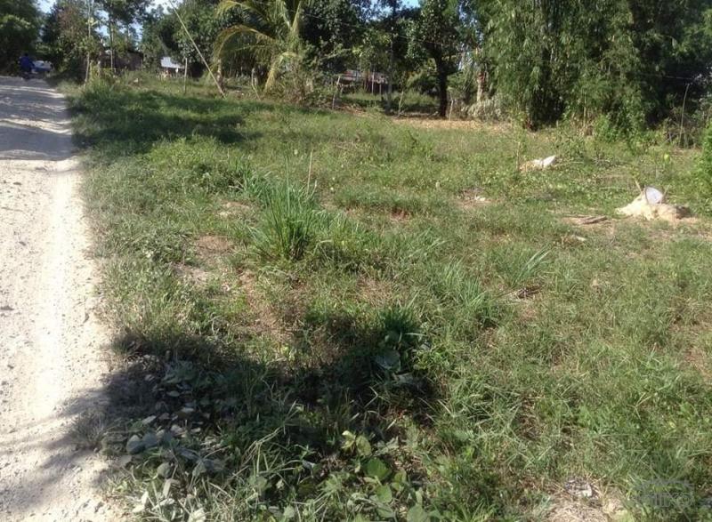 Residential Lot for sale in Ubay - image 2