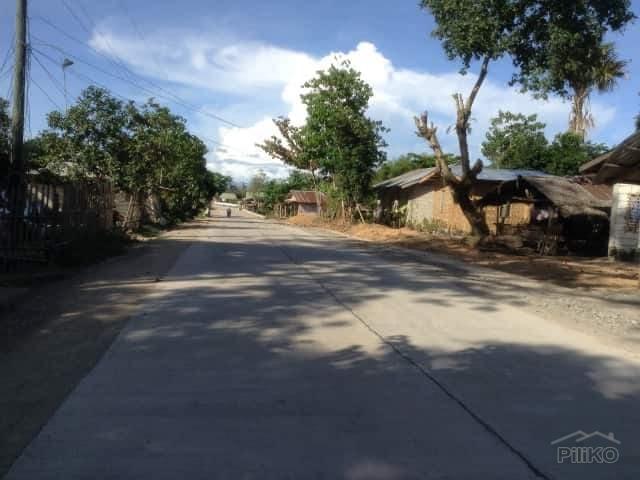 Residential Lot for sale in Ubay in Philippines