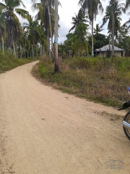 Pictures of Land and Farm for sale in Trinidad