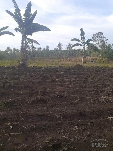 Picture of Land and Farm for sale in Trinidad