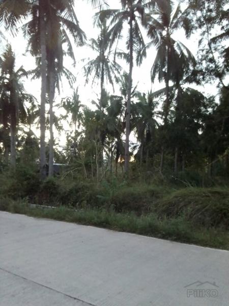 Picture of Residential Lot for sale in Trinidad