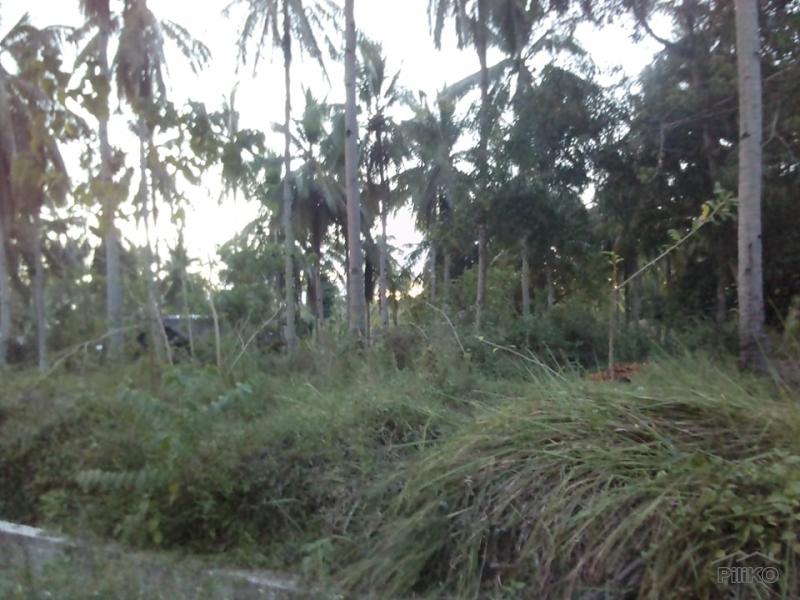 Residential Lot for sale in Trinidad in Philippines