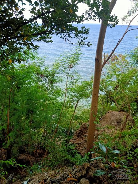 Lot for sale in Catmon - image 2